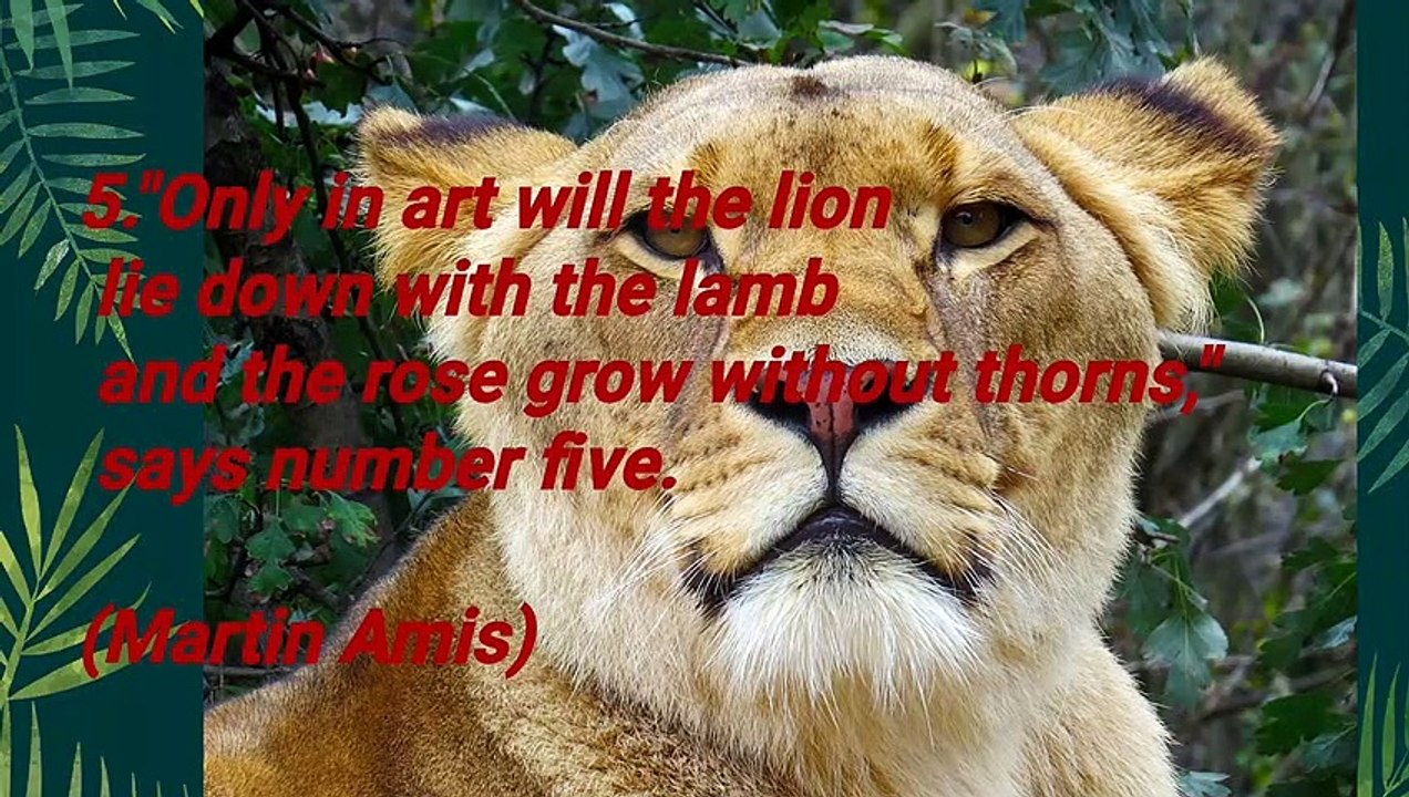 Lion Quote motivation