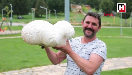 Dev mantar görenleri şaşırttı