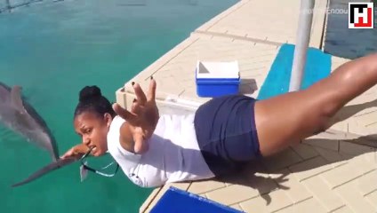 Mannequin Challenge akımını yunuslarla bir üst seviyeye taşımak