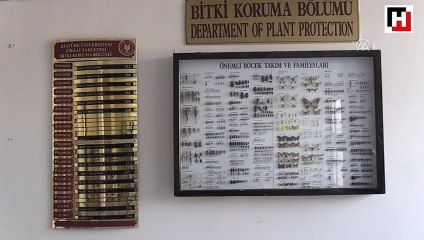 Literatüre kazandırdığı böceğe babasının ismini verdi