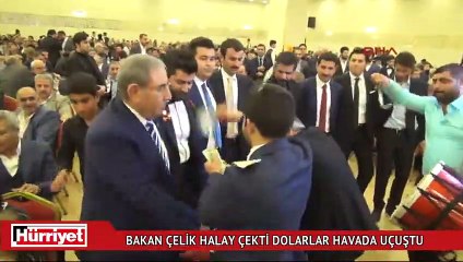 Halay çeken Bakan Çelik’e dolar atma yarışı