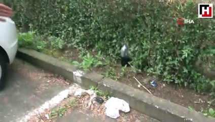 Kola ile alarmı kırıp motosiklet çaldılar