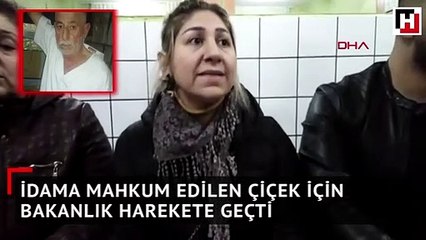 İdama mahkum edilen Çiçek için Dışişleri Bakanlığı harekete geçti