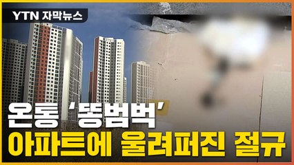 [자막뉴스] 악취 따라가니 인분이 계속...절규 울려퍼진 아파트 / YTN