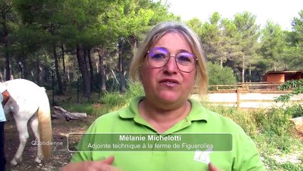 Martigues : la médiation équine pour une bonne santé mentale