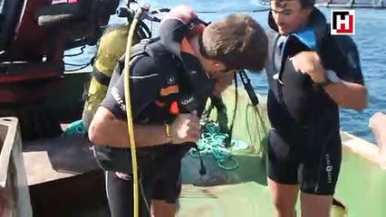 Çiftlik balığı ne kadar güvenli?