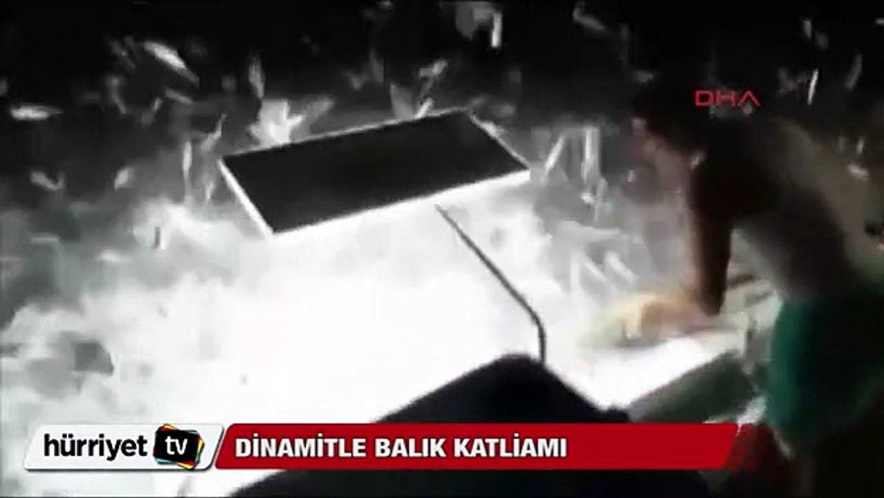 Dinamitle balık katliamı