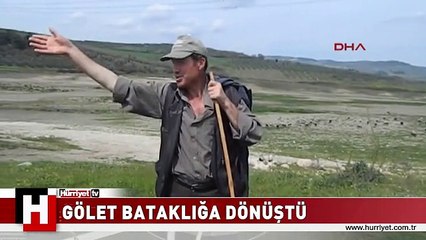 Gölette su azaldı, balıklar öldü