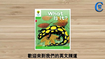 What Is It, Oxford Reading Tree, Story Book, English