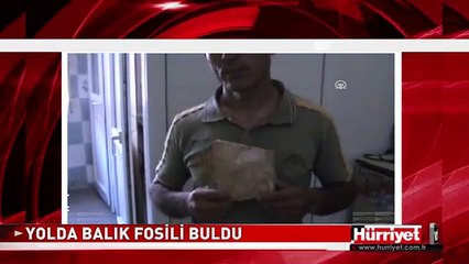 YOLDA MİLYONLARCA YILLIK FOSİL BULDU