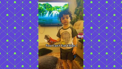 Funny Tik-Tok Videos, Funny Videos tiktok 2022, Funny Comedy Videos 2022,Obak kora Comedy | tiktok | funny tiktok video | funny video