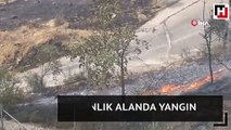 İzmir’de ormanlık alanda yangın