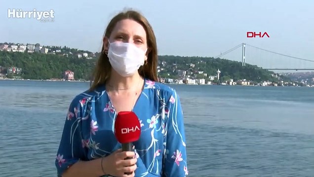 Boğaz'da şaşkına çeviren görüntü: binlerce balık kıyıya geldi