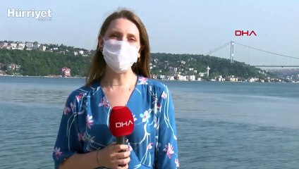 Boğaz'da şaşkına çeviren görüntü: binlerce balık kıyıya geldi