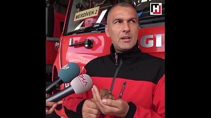 İtfaiye çavuşu yavru sincaba çocuğu gibi bakıyor