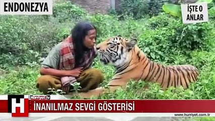 DEV KAPLANLA BAKICISI ARASINDAKİ İNANILMAZ SEVGİ GÖSTERİSİ