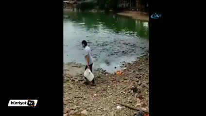 Binlerce balığın yem savaşı