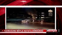 ÖLÜ DOĞAN YAVRUSUNU HAYATA DÖNDÜRDÜ