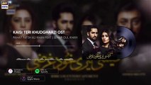Kaisi Teri Khudgharzi OST _ Rahat Fateh Ali Khan feat. _ Sehar Gul Khan (Audio) ARY Digital