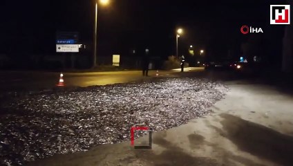 Arka kapağı açılan tırdan tonlarca hamsi yola saçıldı