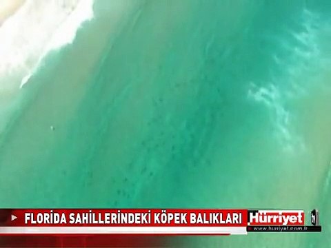 SİYAH NOKTALARA DİKKAT! HERKES ORAYA KOŞTU