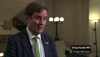 Hands defends Kwarteng’s early return from the US