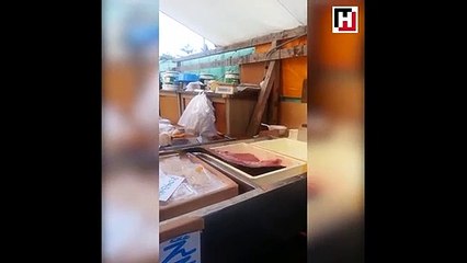 Canlanan balık görenleri şoke etti!