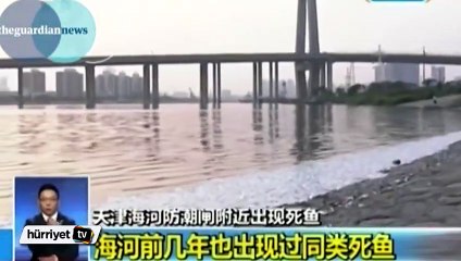 Çin'de binlerce balık kıyıya vurdu