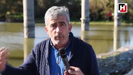 Bursa'da balık ölümleri devam ediyor