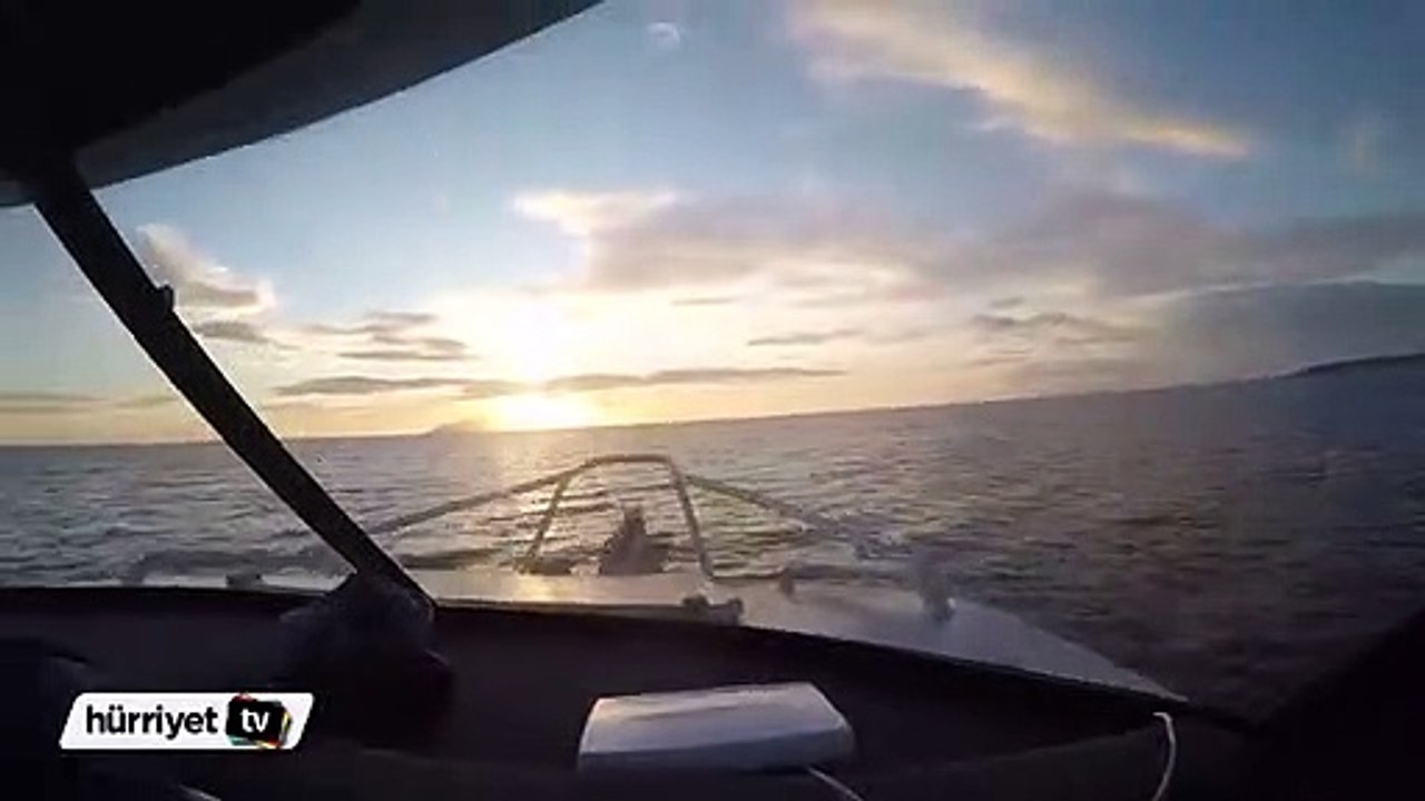 Balinalarla dalış macerası