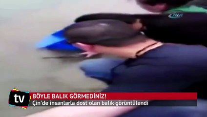 Böyle balık hiç görmediniz !