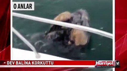 DENİZDE KORKU DOLU ANLAR