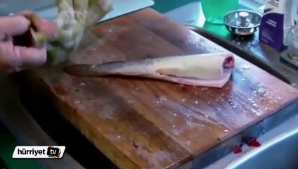 Kafası kesilen balık canlanınca…