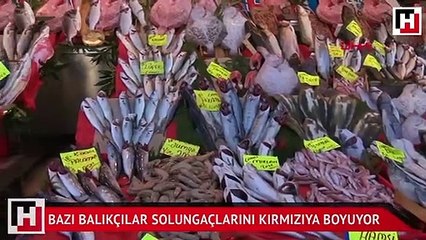 Bazı balıkçılar solungaçlarını kırmızıya boyuyor