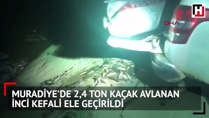 Muradiye'de 2,4 ton kaçak avlanan inci kefali ele geçirildi
