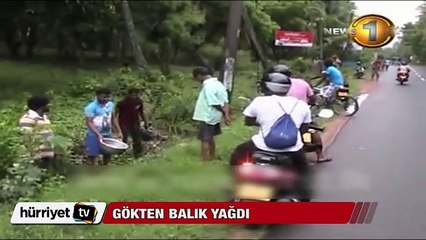 Gökten canlı balık yağdı