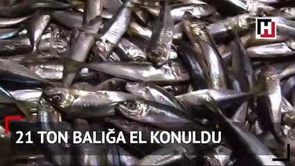 3. dalga operasyon: 21 ton balığa el konuldu