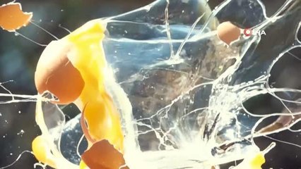 Çocuk gelişiminde yumurta, ceviz ve fındık kadar önemli