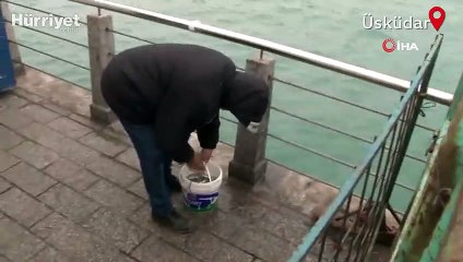 Bariyerlerin arkasına saklanıp balık tutmak isteyen kişiyi zabıta yakaladı