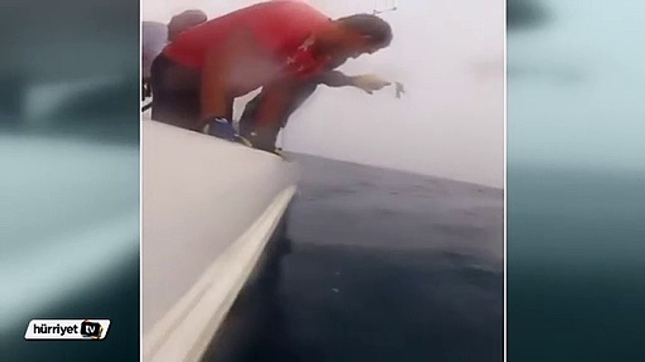 Köpek balığı saldırısından son anda kurtulan şanslı balıkçı