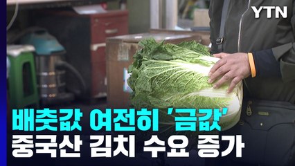 "싼 김치 없나요?"...배춧값 치솟자 중국산 포장김치 수요 증가 / YTN