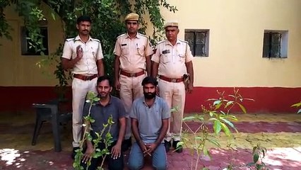 टावर से बीटीएस चुराने वाले दो चोर गिरफ्तार