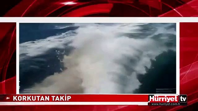 KATİL BALİNALAR TEKNEYİ DAKİKALARCA KOVALADI