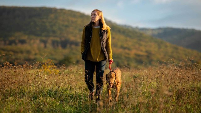 Gassigehen im Herbst: Hier lauern tödliche Gefahren