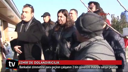 2 bin güvercin ihaleyle satışa çıkarıldı