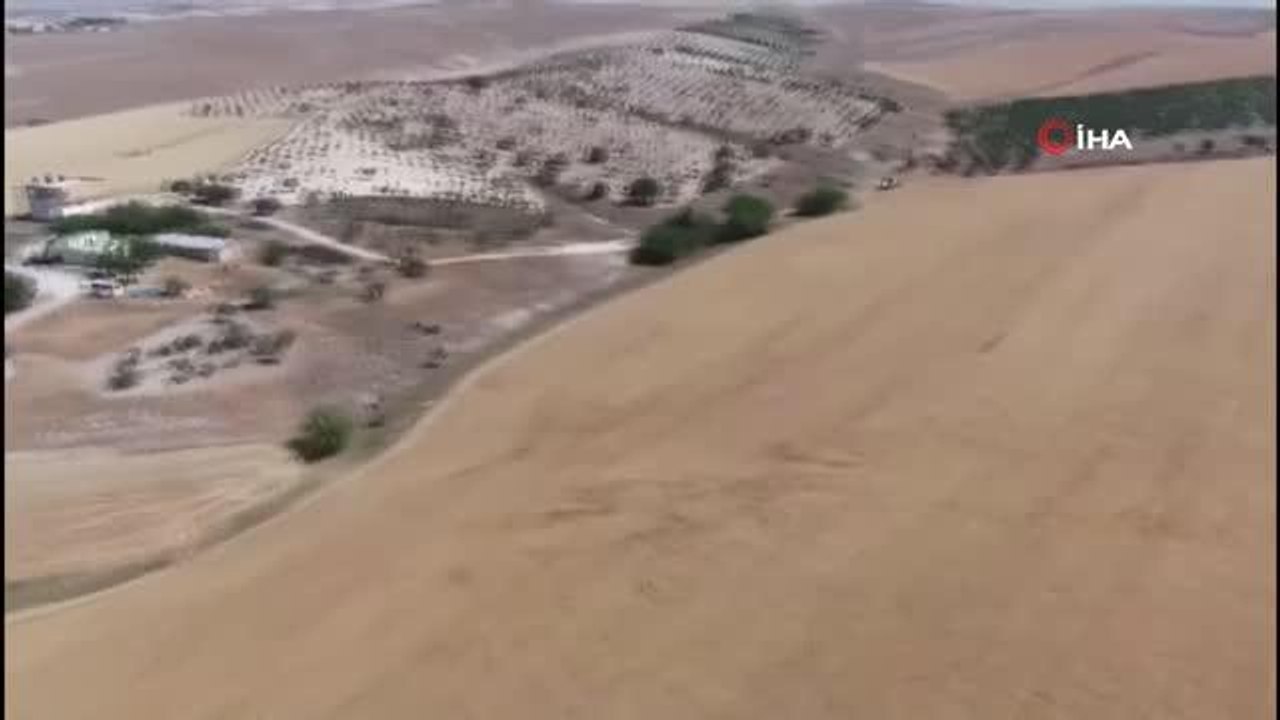 Vatandaş ekti, kaymakam biçti