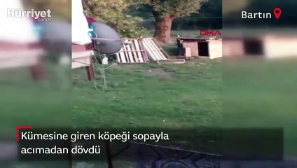 Kümesine giren köpeği acımasızca dövdü! O anları ağlayarak kaydettiler
