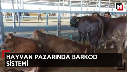 Hayvan pazarına barkod sistemi