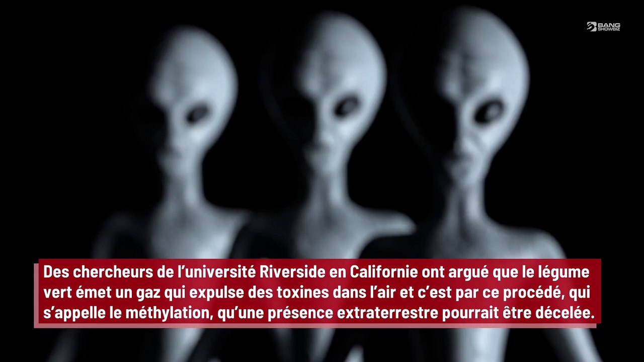 Les brocolis vont permettre la recherche d’extraterrestres !