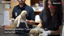 Ölüme terkedilen 7 yavru köpekten 5'i kurtarıldı